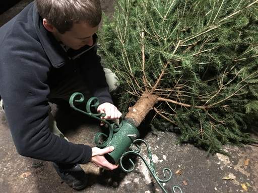 Checking Christmas tree stand fits trunk